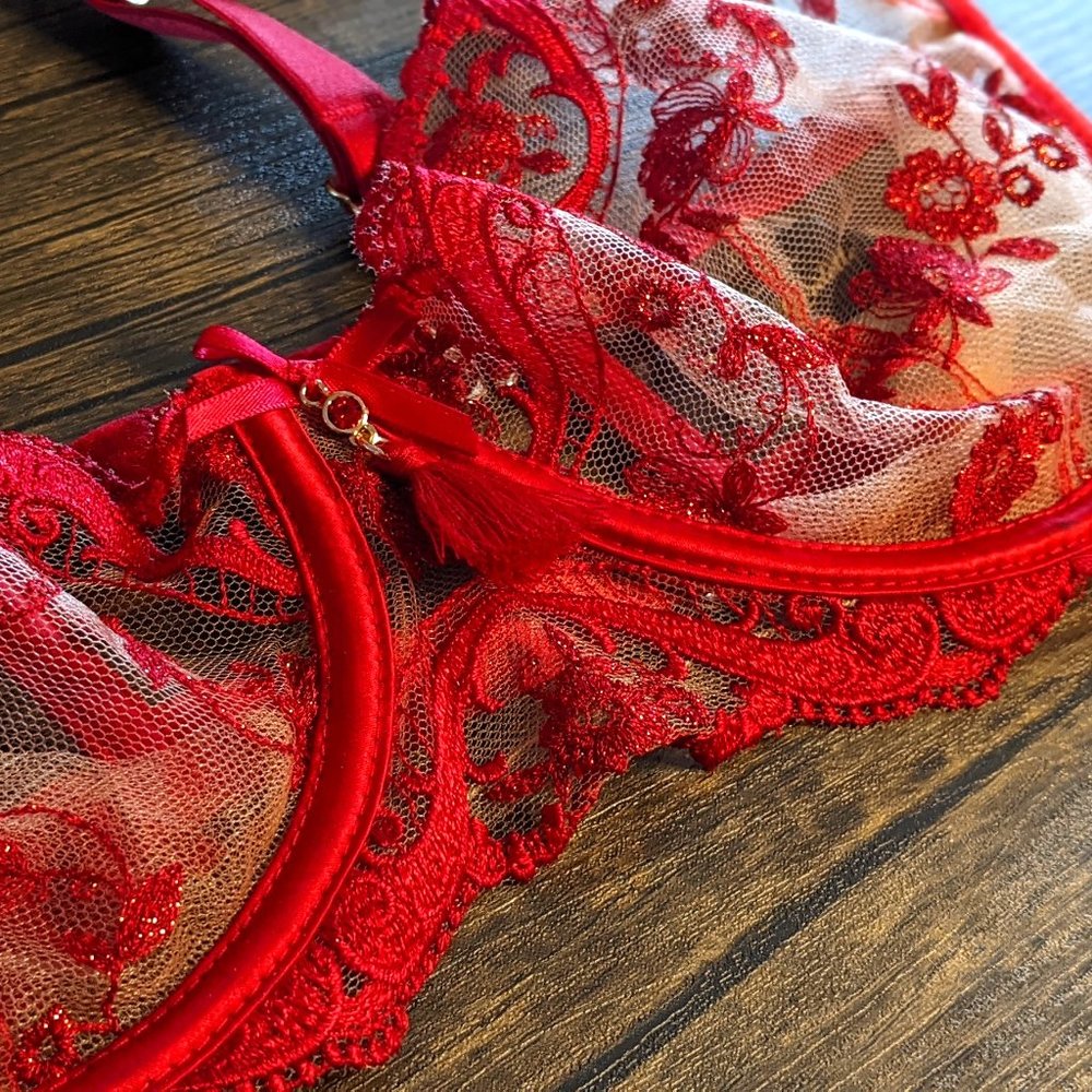 Honey Birdette Frida Red Bra